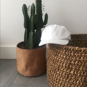 Long Tailed White Cap